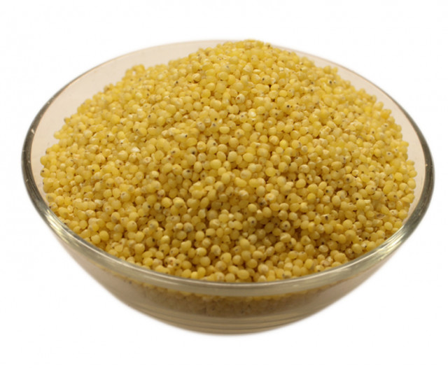 Wholesale Organic Hulled Millet | Nuts in Bulk