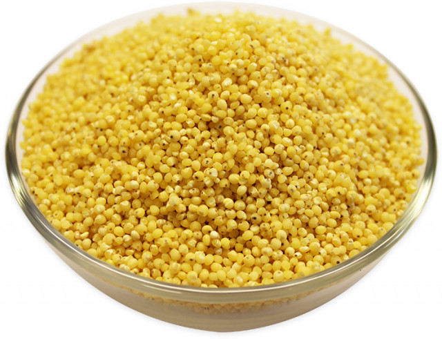 Wholesale Hulled Millet | Nuts in Bulk