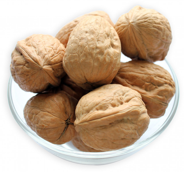 Wholesale Walnuts in Shell | Nuts in Bulk