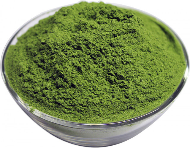 Wholesale Organic Wheat Grass Powder | Nuts in Bulk