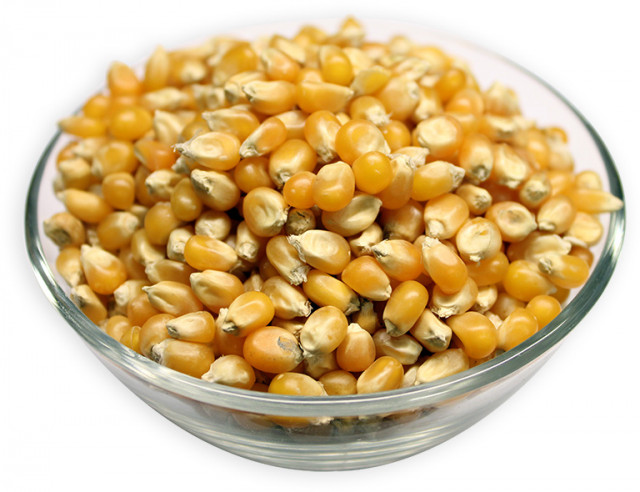 Wholesale Popcorn (Raw Corn) Seeds | Nuts in Bulk