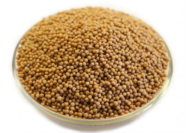 Wholesale Whole Mustard Seeds Yellow | Nuts in Bulk