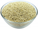 Wholesale Organic White Quinoa Seeds | Nuts in Bulk