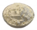 Wholesale Corn Starch | Nuts in Bulk